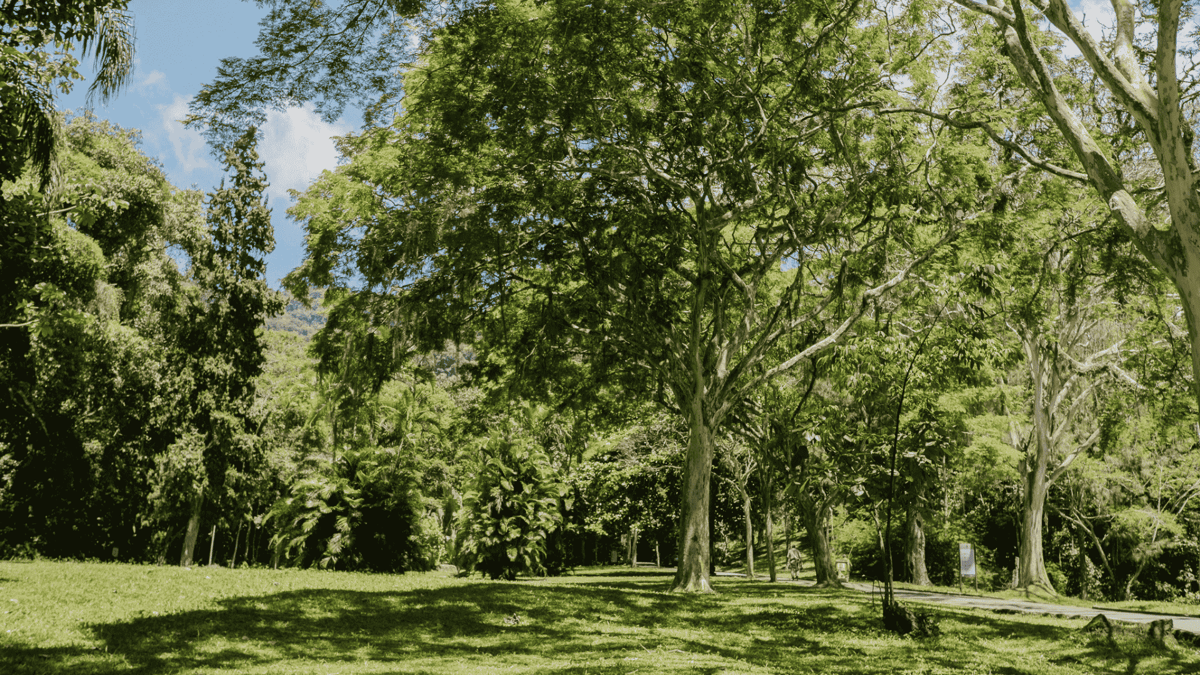 Public park in Gรกvea, Rio de Janeiro