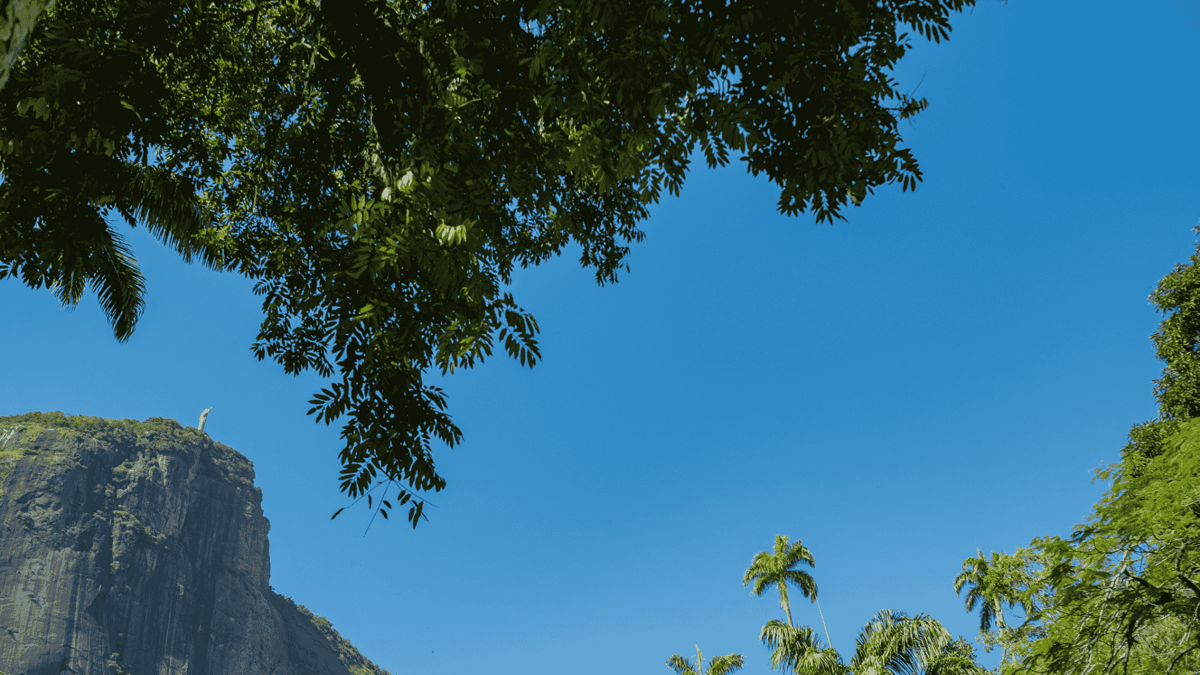 Parque Lage with a Christ the Redeemer view in Jardim Botanico