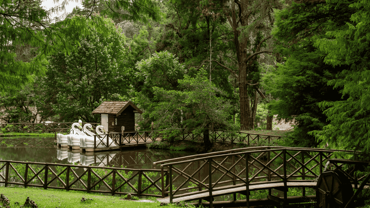 Lake at Campos do Jordao State Park