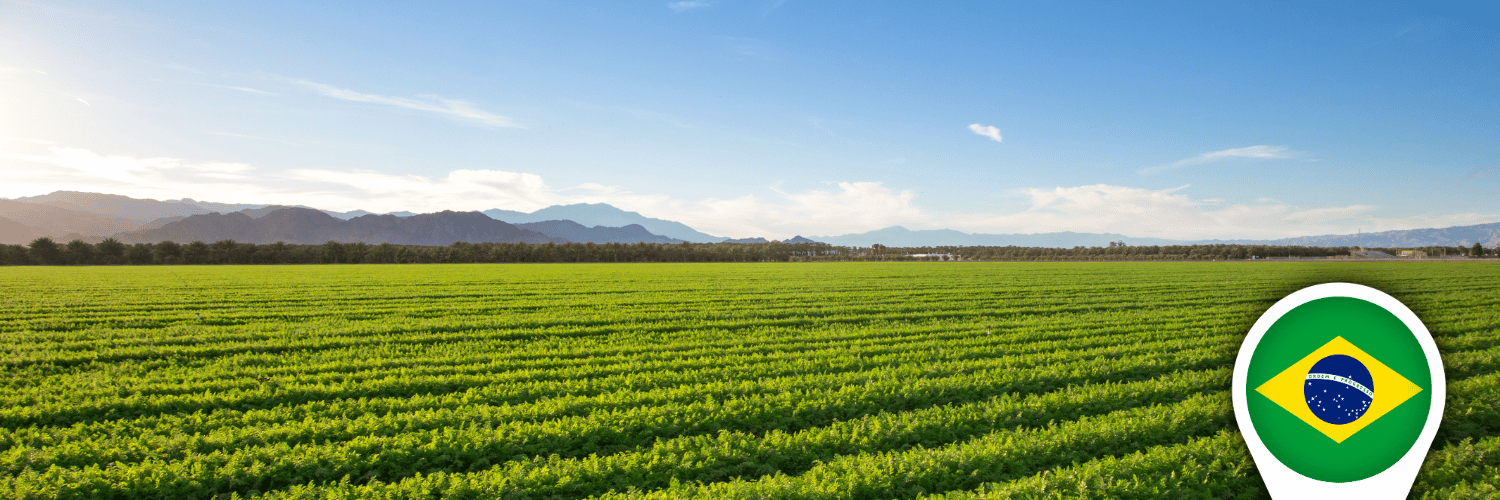 Brazil rural land acquisition due diligence for foreign investors.
