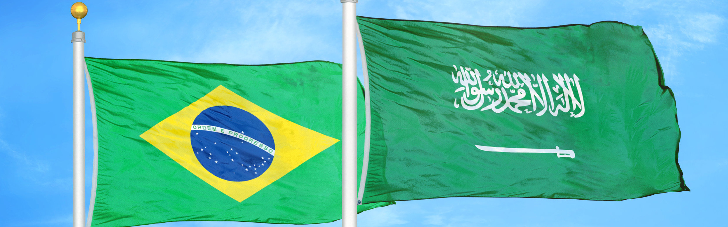 Brazil and Saudi Arabia Lawyers