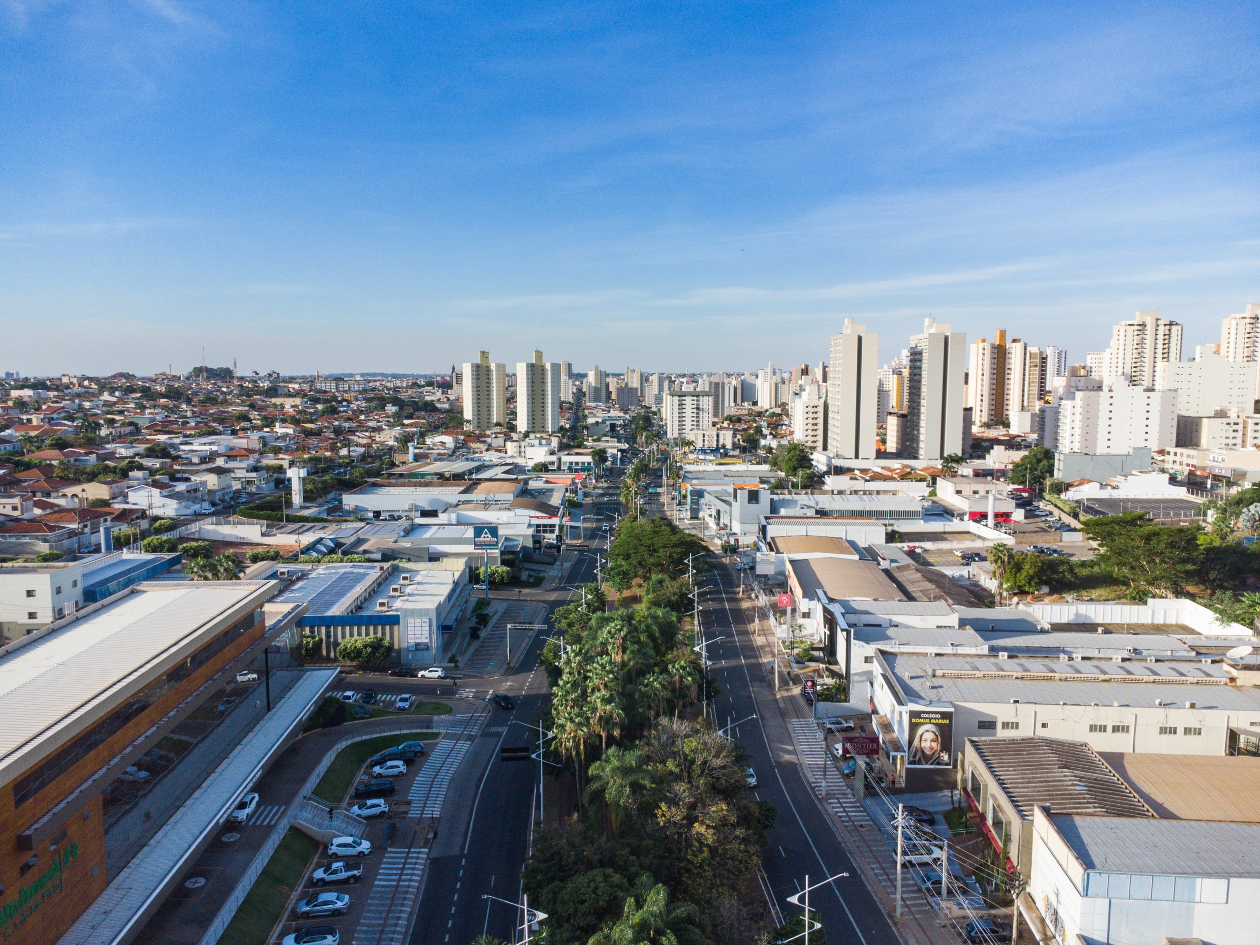 Sรฃo Josรฉ do Rio Preto โ elevated view along Avenida Bady Bassitt commercial corridor lined with palms and high-rise skyline.