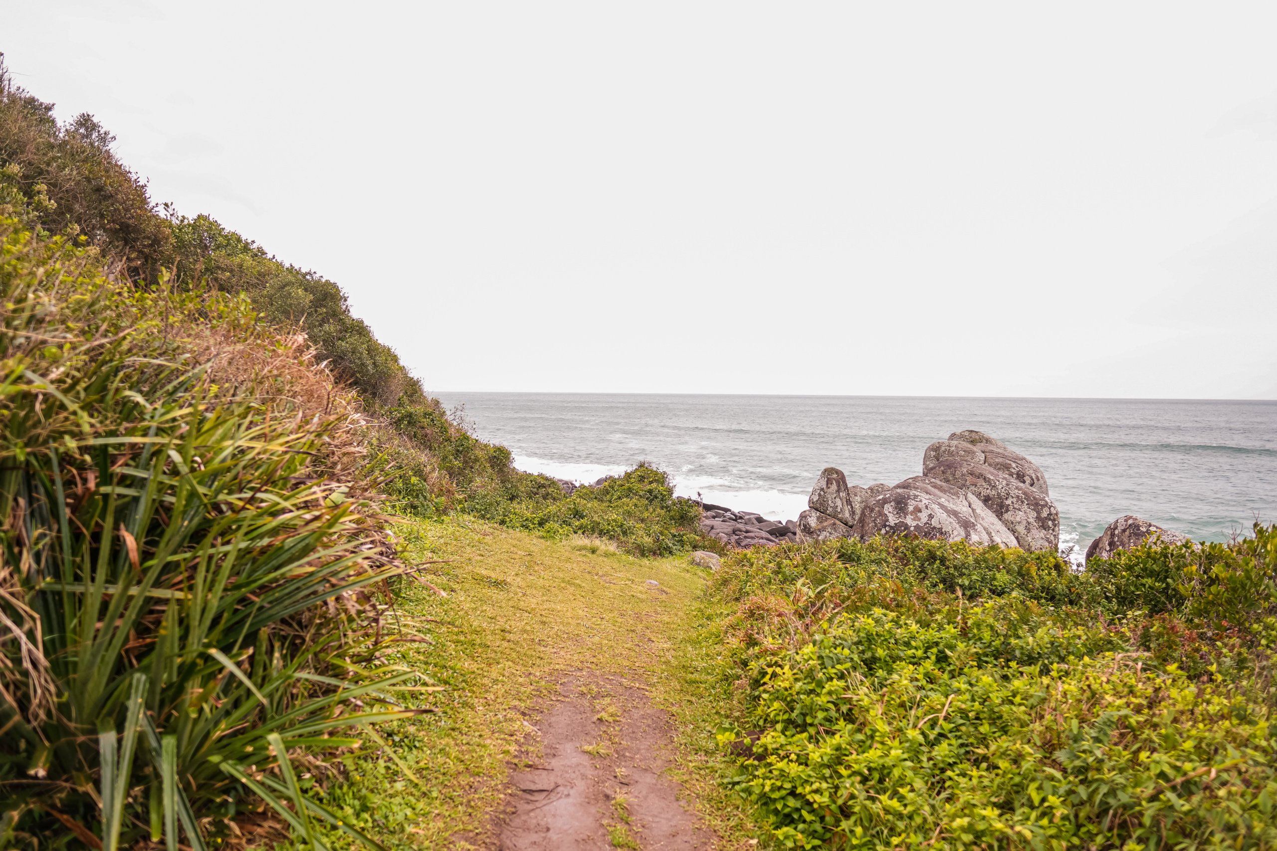 Trail to Praia da Gamboa in Garopaba, Santa Catarina | Photo by: Merlin Donald