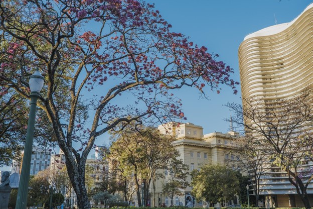 Praça da Liberdade in Savassi neighborhood | Photo by: Nathália Segato