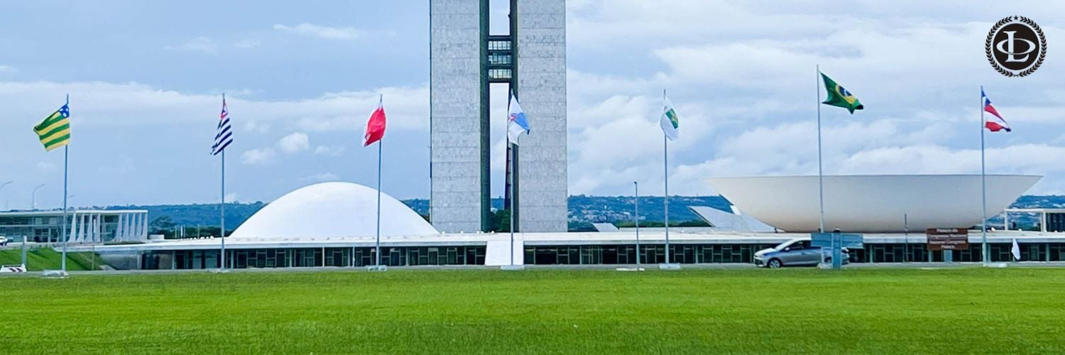 Institutional relations and government access in Brasília