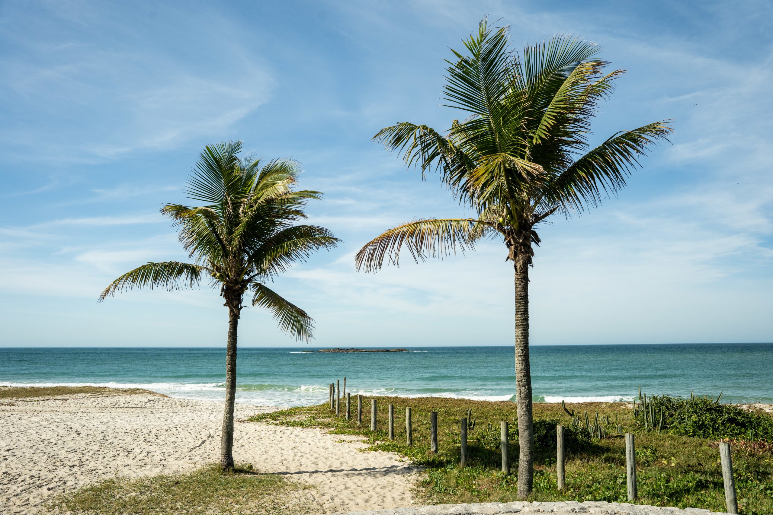 Twin palms framing the turquoise surf at Praia de Itaรบna, Saquarema | Photo by: Flor Yanez