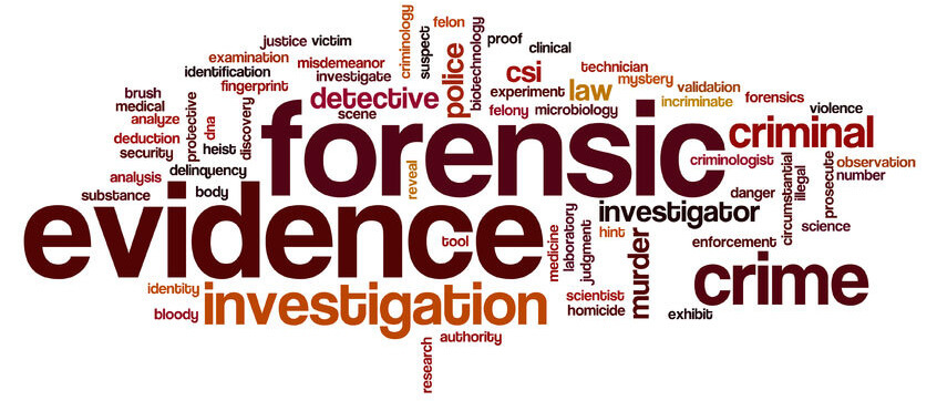 Forensic Services in Brazil