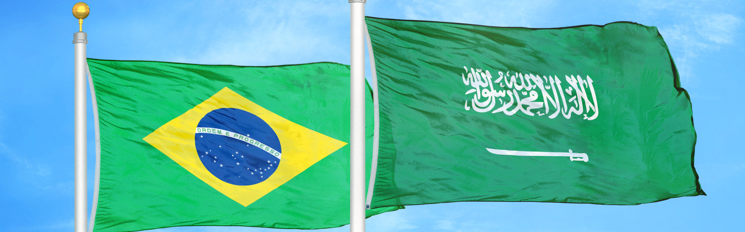 Brazil and Saudi Arabia Lawyers