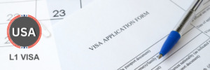 Visa application form for the L1 Visa