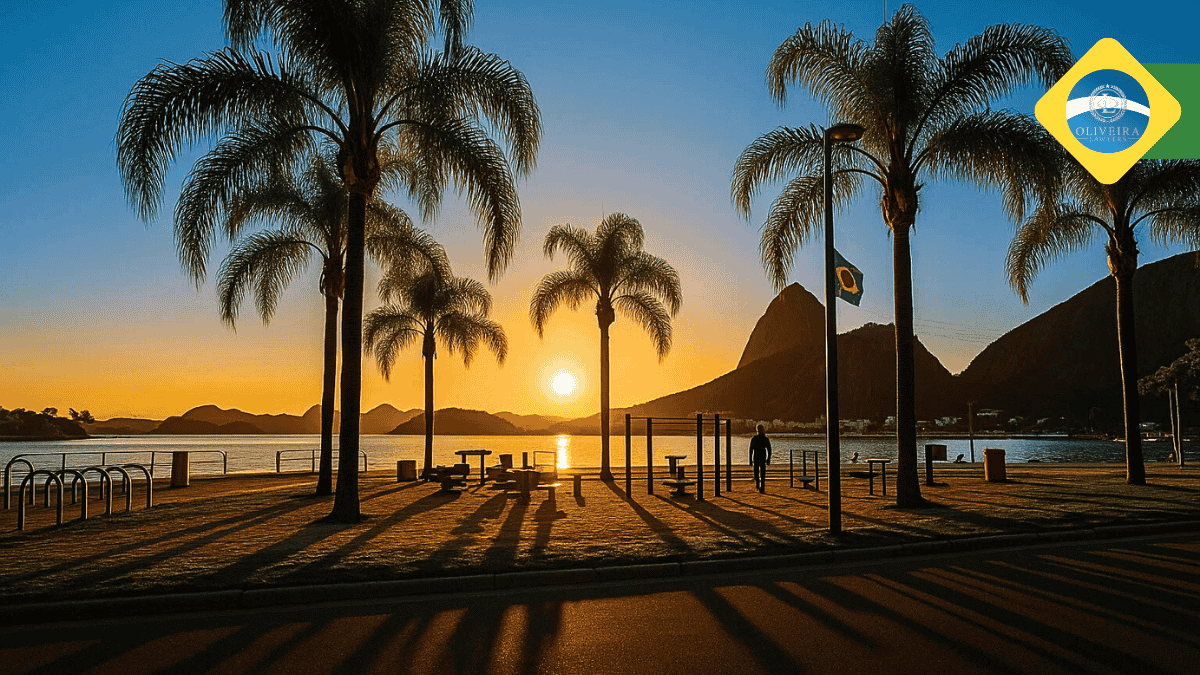Outdoors Gym Under Palm Trees in Flamengo Park, Flamengo _Rio de Janeiro