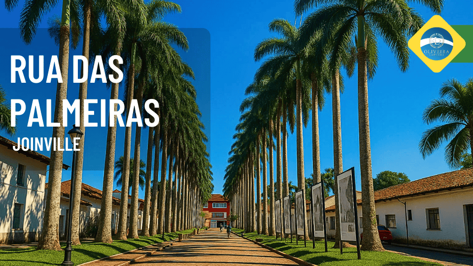 Rua das Palmeiras, Joinville_Santa Catarina