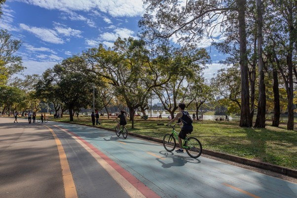 Bright sunny day at Ibirapuera Park | Photo by: Marcelo Sonohara