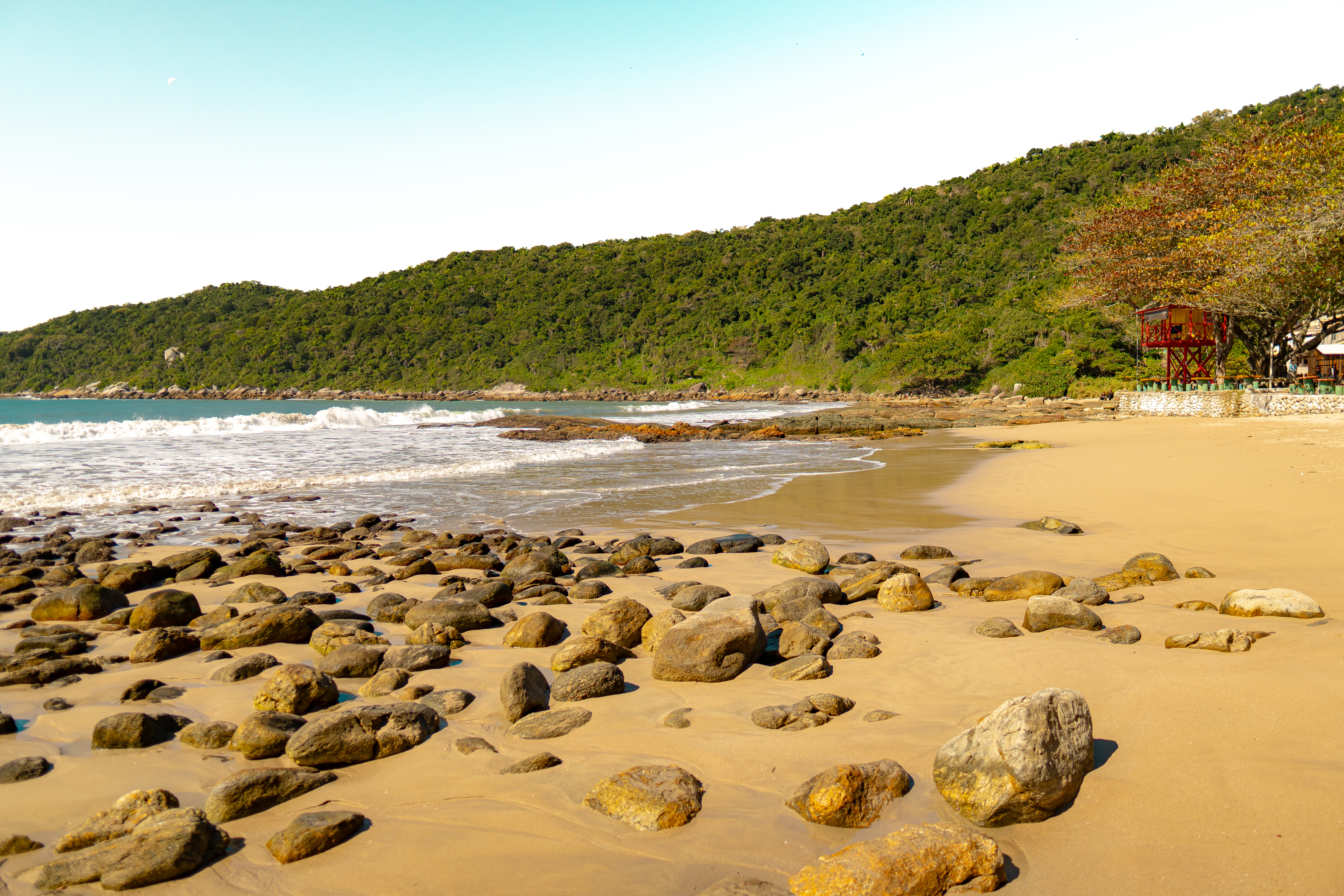 Praia da Sepultura at dawn _ Photo by Merlin Donald