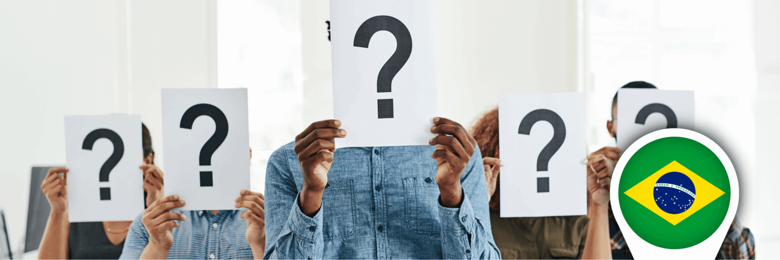 Who Is the Company Investment Visa in Brazil Really For