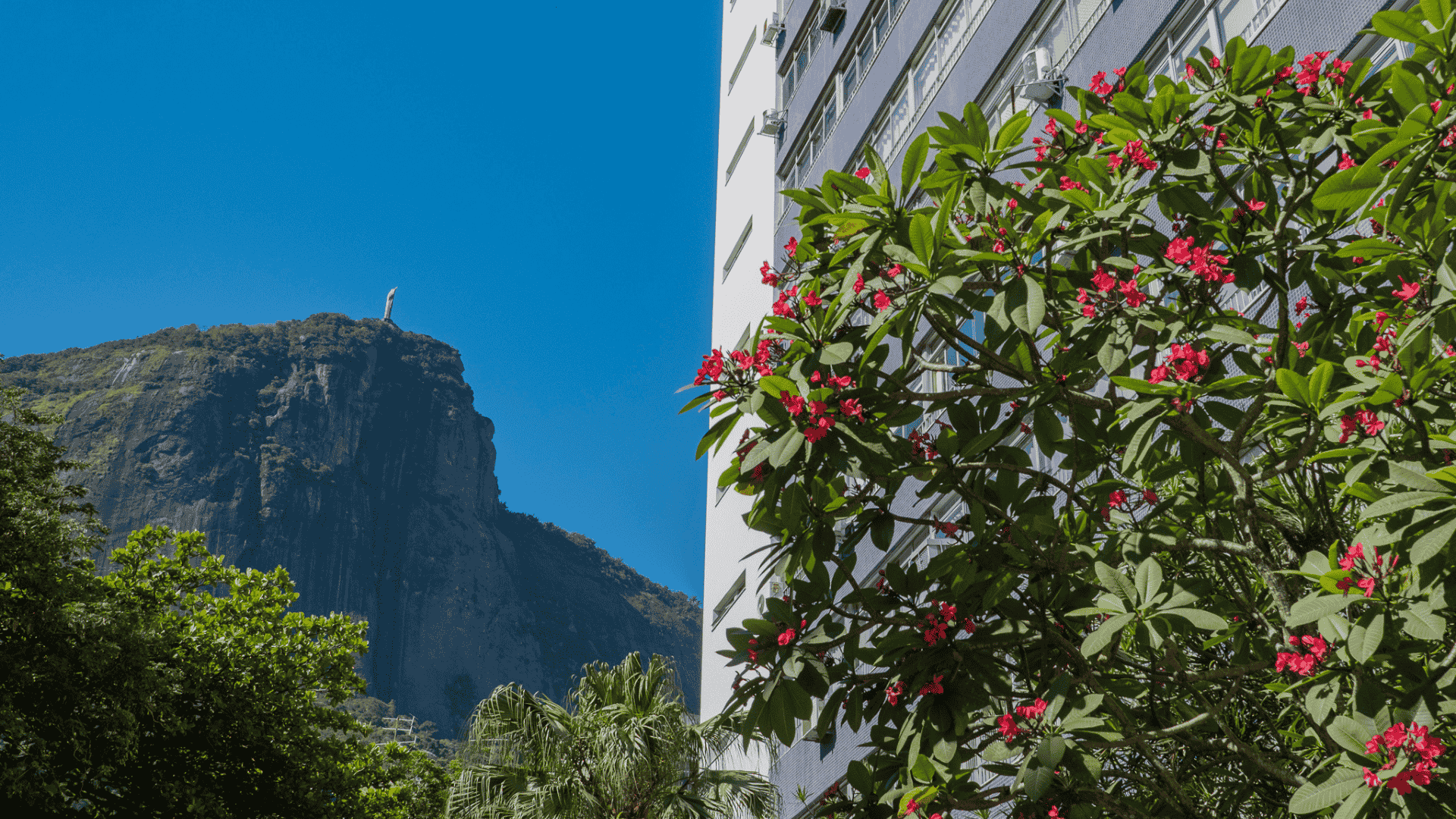 Scenic relocation and city-lagoon view in Lagoa, Rio de Janeiro